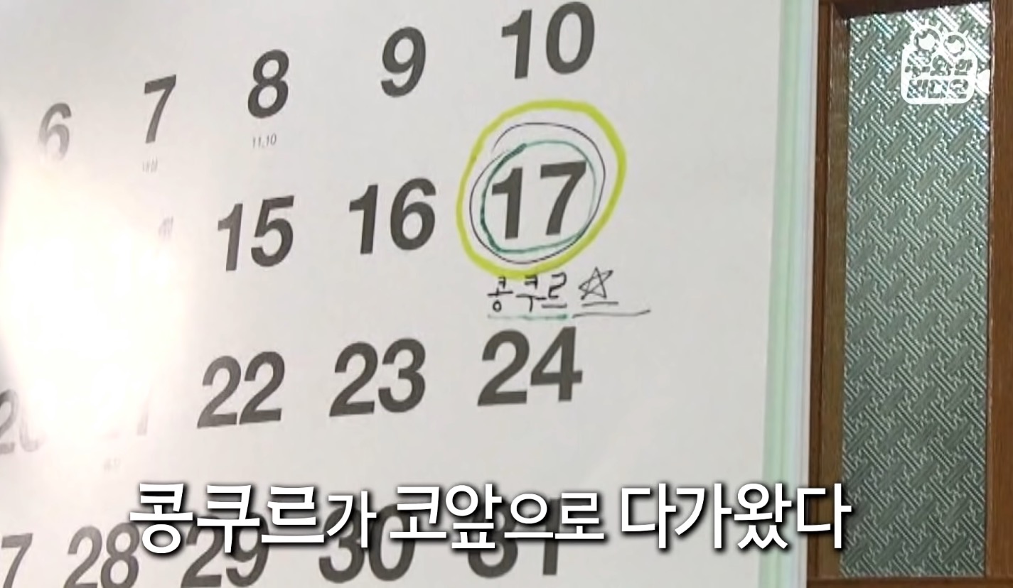 심장을 잃고도 울지 않는 11살 피아노 영재 용준이 | 인스티즈