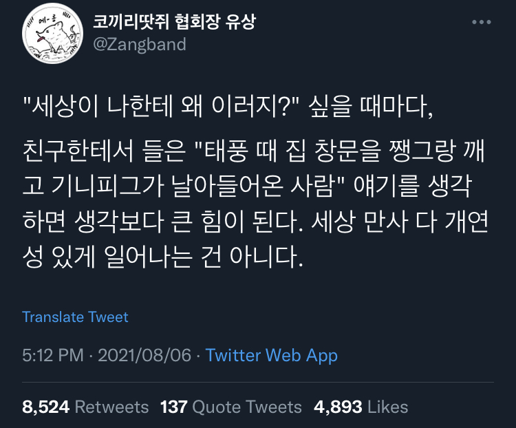 외길로 가면 안 돼. 헤매야 해.twt | 인스티즈