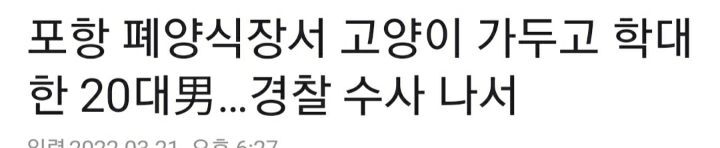 포항 20대 남, 임신 고양이 배 가르고 7마리 고양이 연쇄 잔혹 살해(기사 추천) | 인스티즈