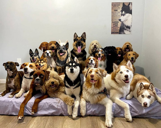 c5c5e112ce1d73567cea2ae3e2b01c591afe1209