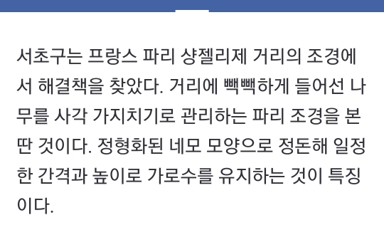 점점 유행인듯한 네모 가로수길.jpg | 인스티즈
