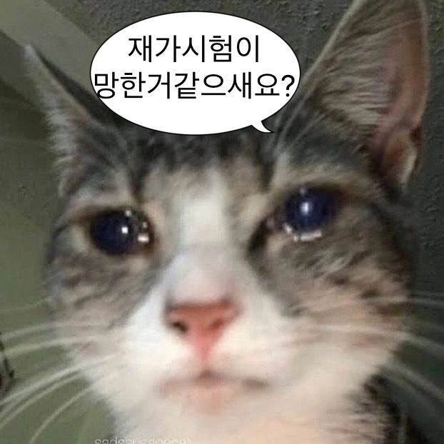 시험이 얼마 남지 않았지만 공부하기 싫은 사람들의 모임 | 인스티즈