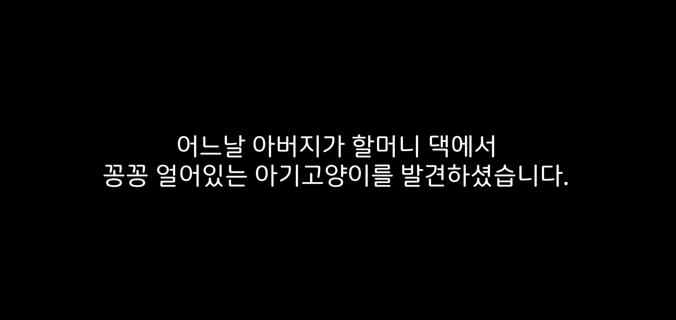 얼어 죽어가던 아기고양이를 녹였더니 ... | 인스티즈