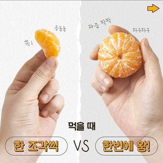 나의 귤 취향은?? | 인스티즈