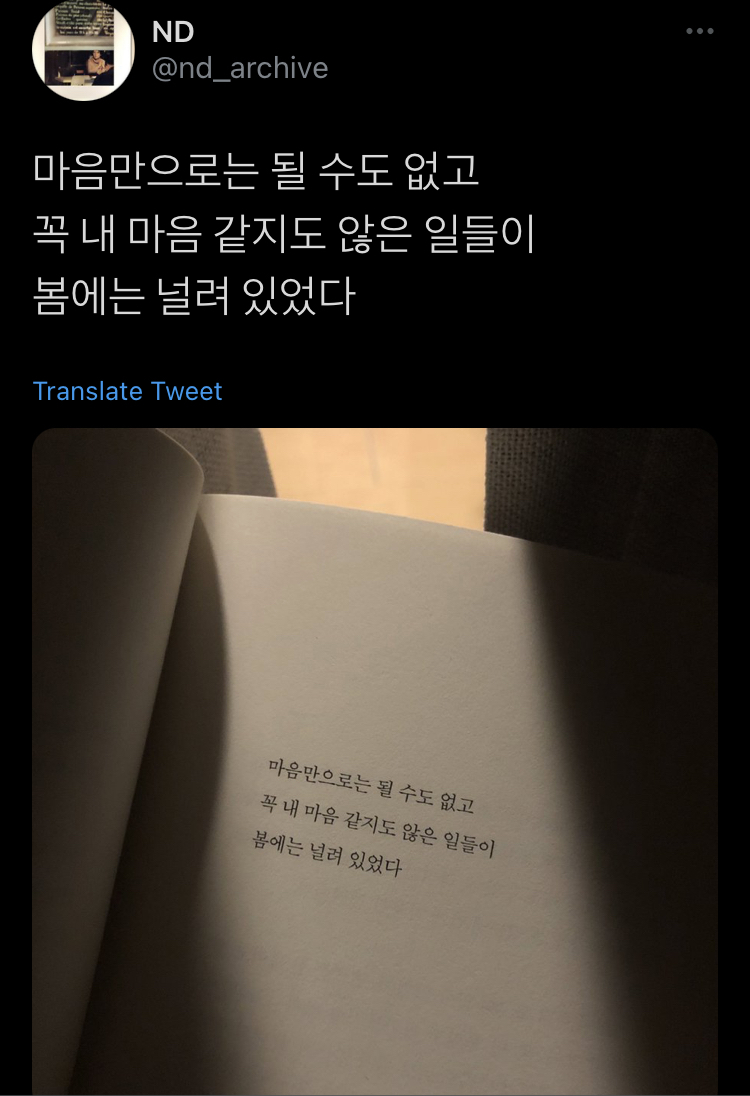 나를 뺀 모두는 어디로 가야 할 지를 아는 것처럼 걷고.twt | 인스티즈