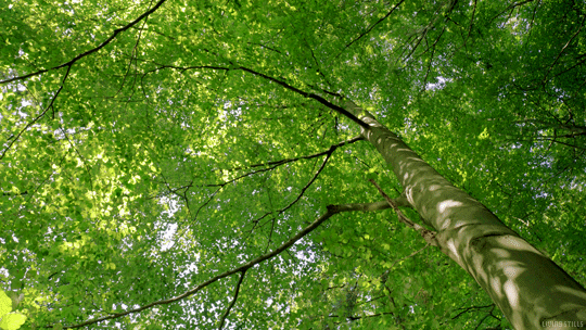 해 보일 정도로 속을 내보이는 순진한 미남과의 하룻밤이 어쩌면 나쁘지 않을지도 | 인스티즈
