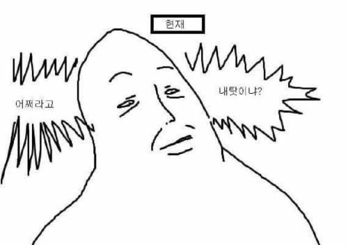 나라가 기대 많이 한다는 90년대생 | 인스티즈