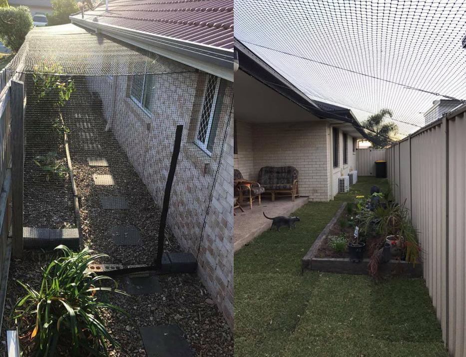 고양이에게 산책영역을 넓혀주고 싶은 집사의 마음 | 인스티즈