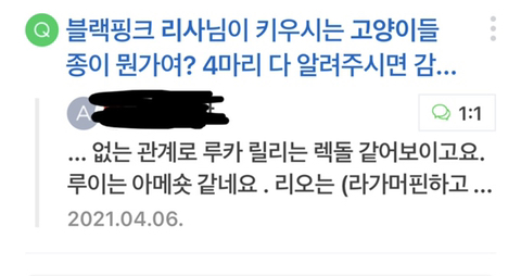 블랙핑크 리사가 키우는 고양이들 | 인스티즈