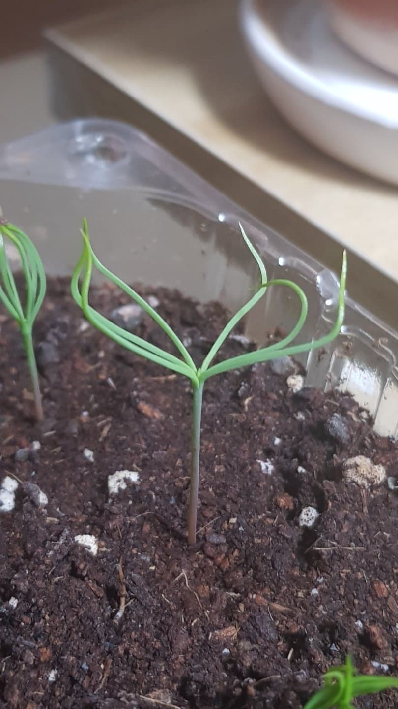 db96177638735f123bd3849d75f36d9ef63a1c2a