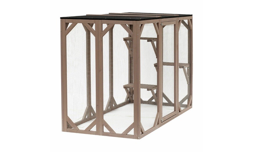 고양이에게 산책영역을 넓혀주고 싶은 집사의 마음 | 인스티즈