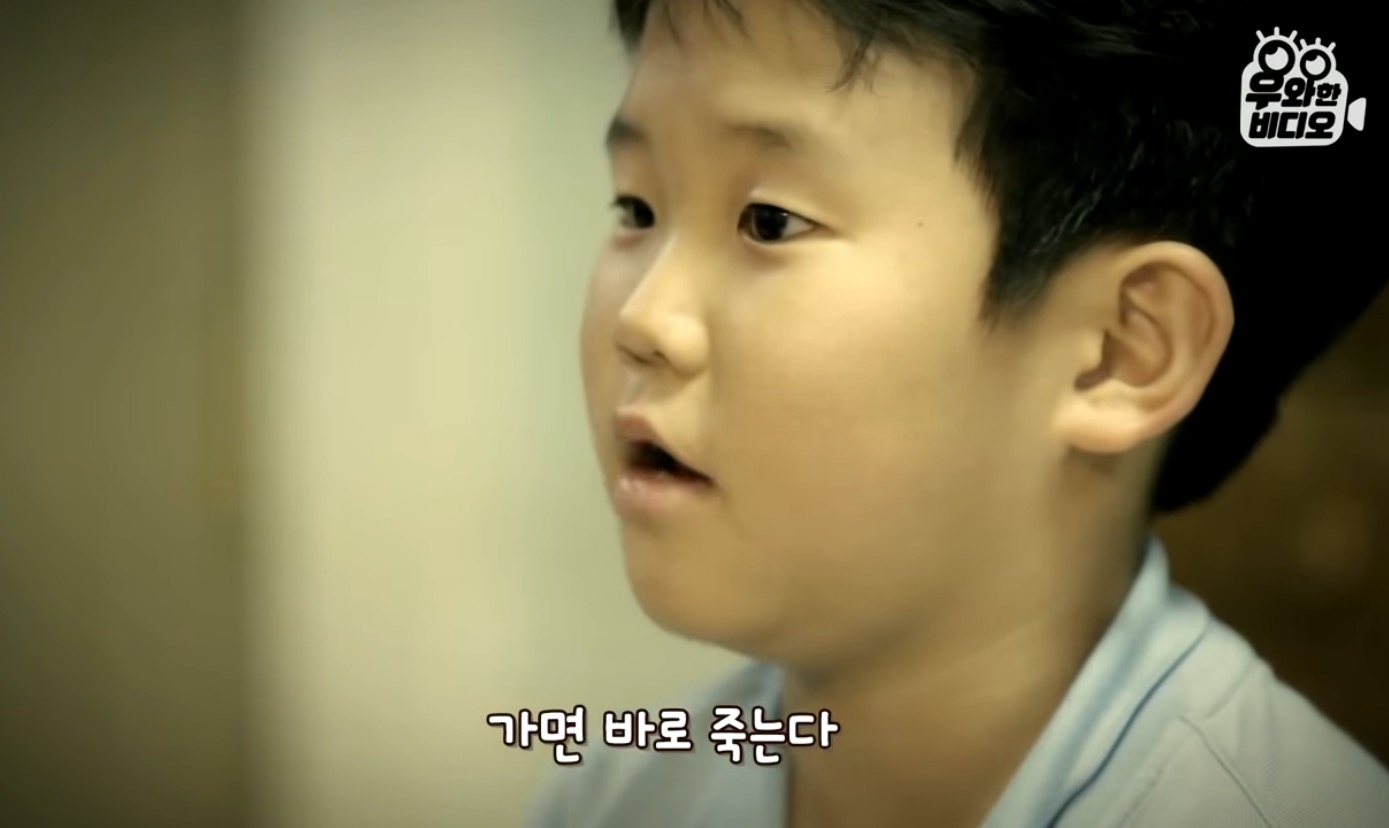 심장을 잃고도 울지 않는 11살 피아노 영재 용준이 | 인스티즈