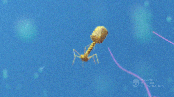 아무리봐도 자연발생한걸로 안보이는 생김새류 甲 | 인스티즈