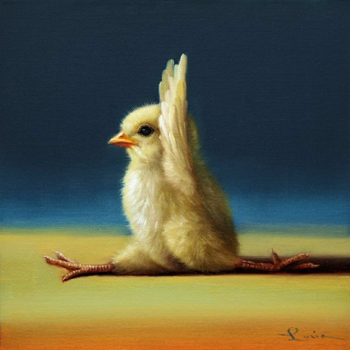 보면 기분 좋아진다는 요가하는 병아리 | 인스티즈