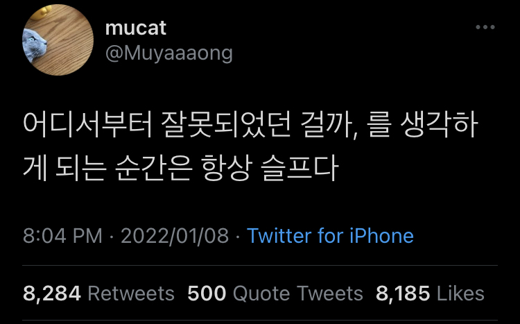 나를 뺀 모두는 어디로 가야 할 지를 아는 것처럼 걷고.twt | 인스티즈