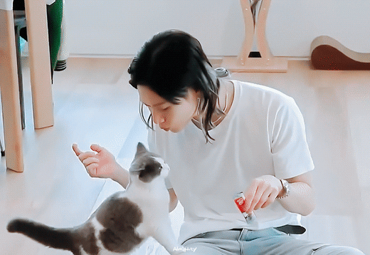 동물을 기르면 뼈저리게 느끼게 된다. 사랑이란 슬픔을 키우는 것.twt | 인스티즈