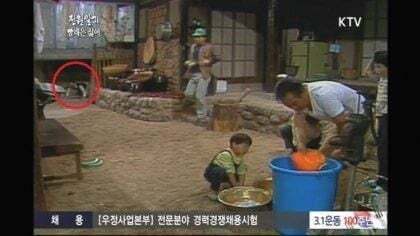 전원일기 드라마 소름끼치던 장면(사람에 따라 무서울 수 있음) | 인스티즈