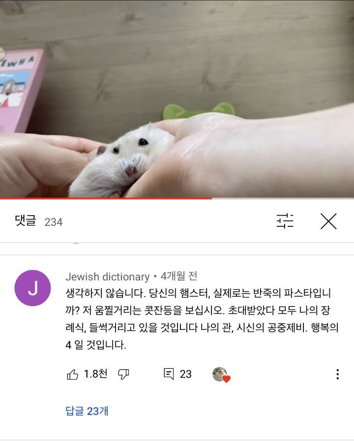 햄스터 영상에 외국인이 귀엽다고 남긴 댓글 | 인스티즈