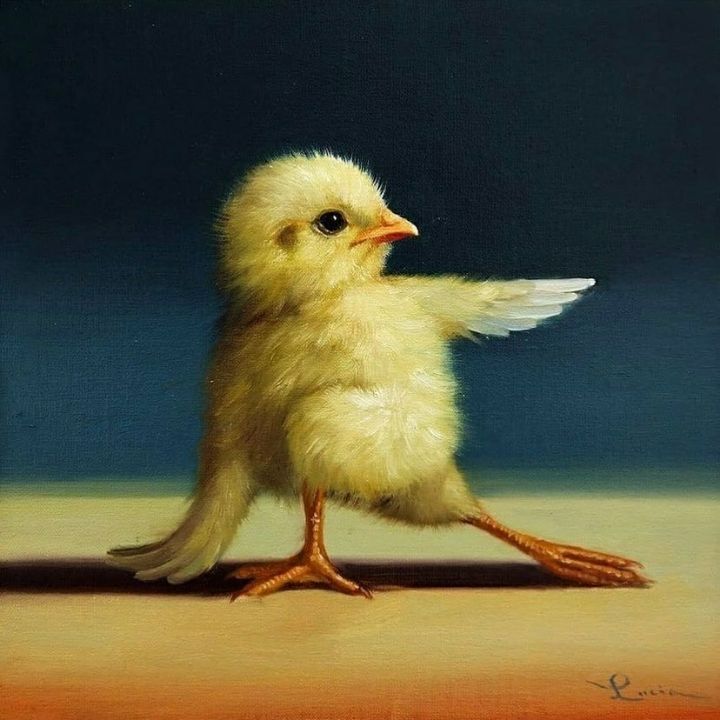 보면 기분 좋아진다는 요가하는 병아리 | 인스티즈