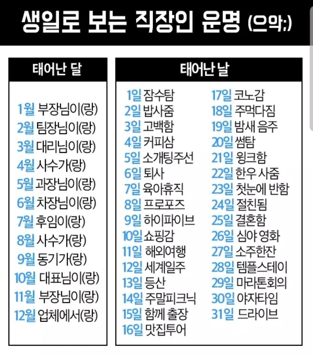 생일로 보는 직장인 운명(으악;) | 인스티즈