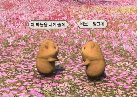 성수 이미지