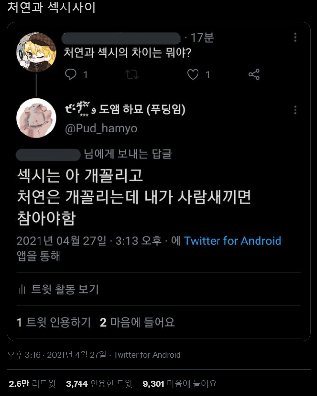 처연과 섹시의 차이는 뭐야?.twt | 인스티즈