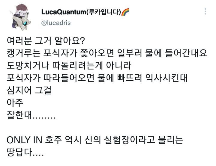 캥거루가 포식자에게 쫒기면 물로 가는 이유 twt | 인스티즈