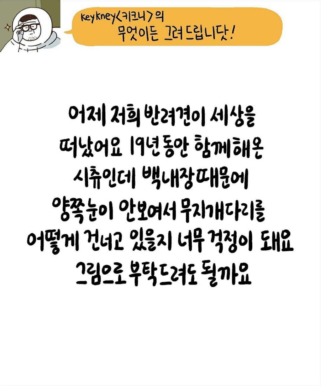 키크니) 반려견 양쪽눈이 안보여서 무지개다리를 어떻게 건너고 있을지 너무 걱정이 돼요 | 인스티즈