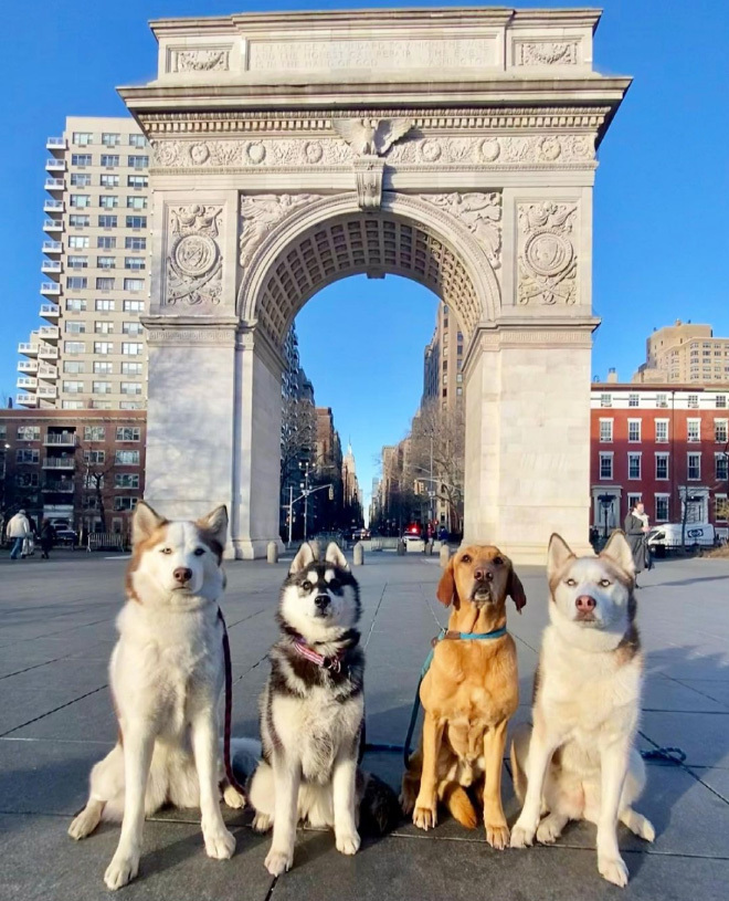 fd58dde711971d7c5fed4e89deb3dc569353b296