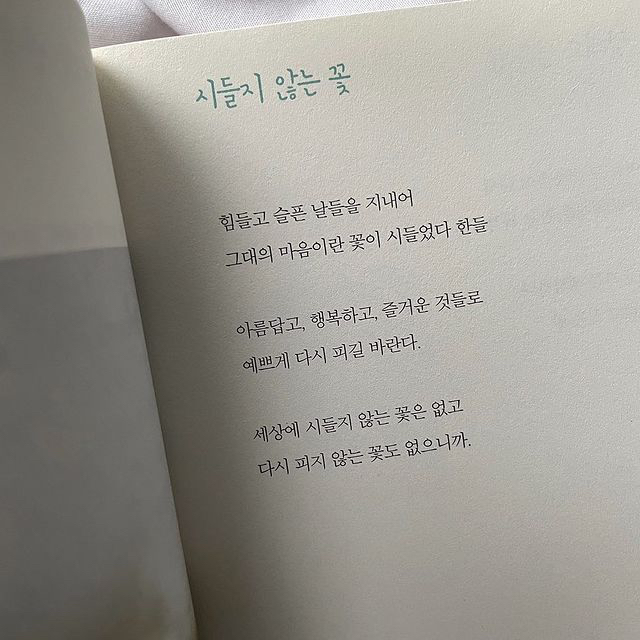 나는 가끔 나의 안부를 묻곤 해 | 인스티즈