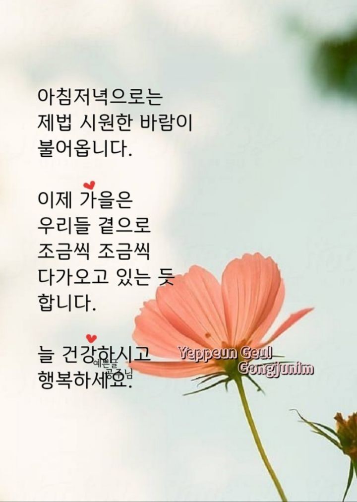 매일, 밥 이미지