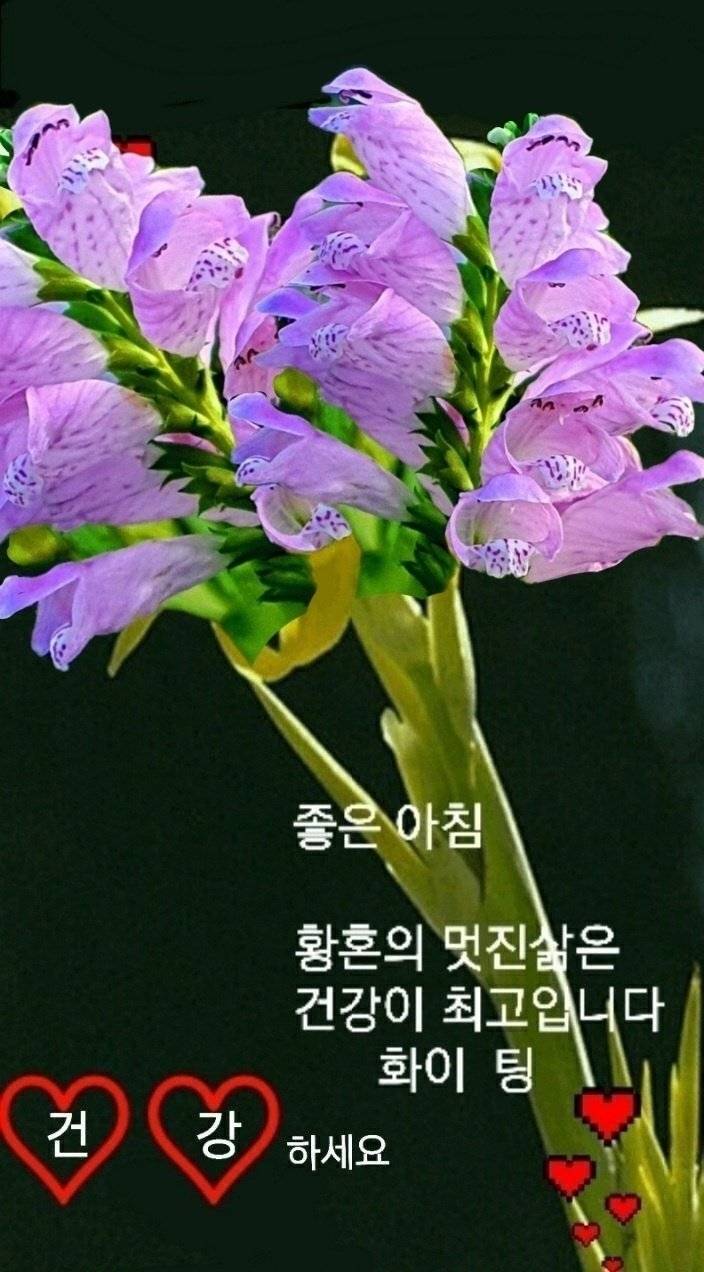 가위춤 이미지