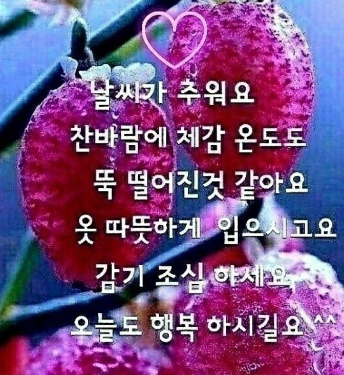 품바노래방 이미지