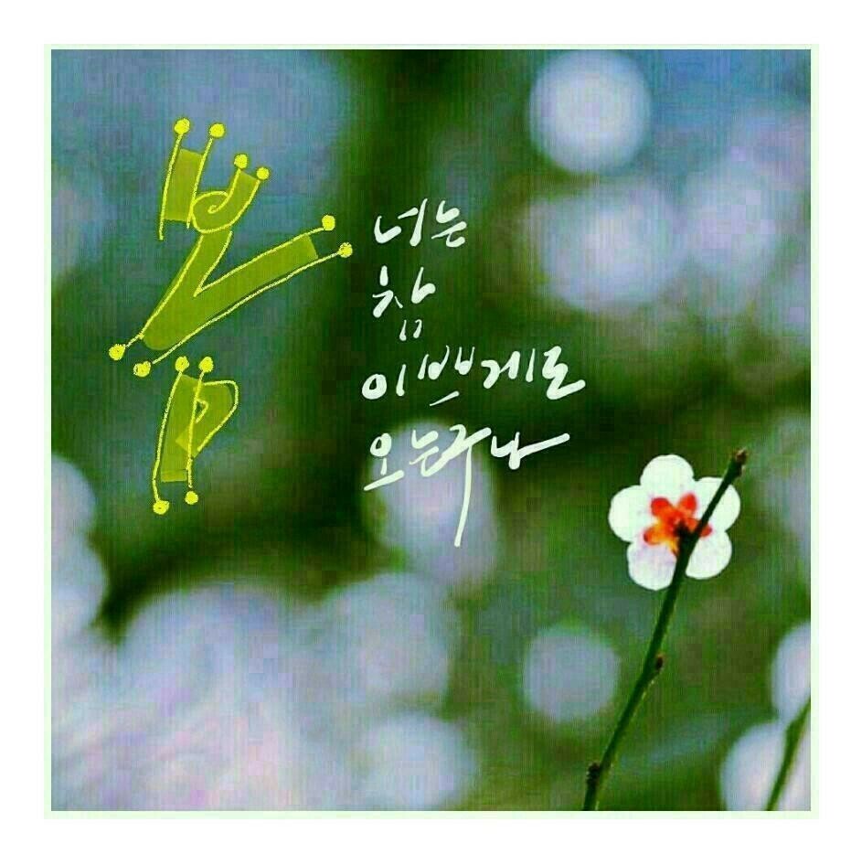 숨은그림찾기 이미지