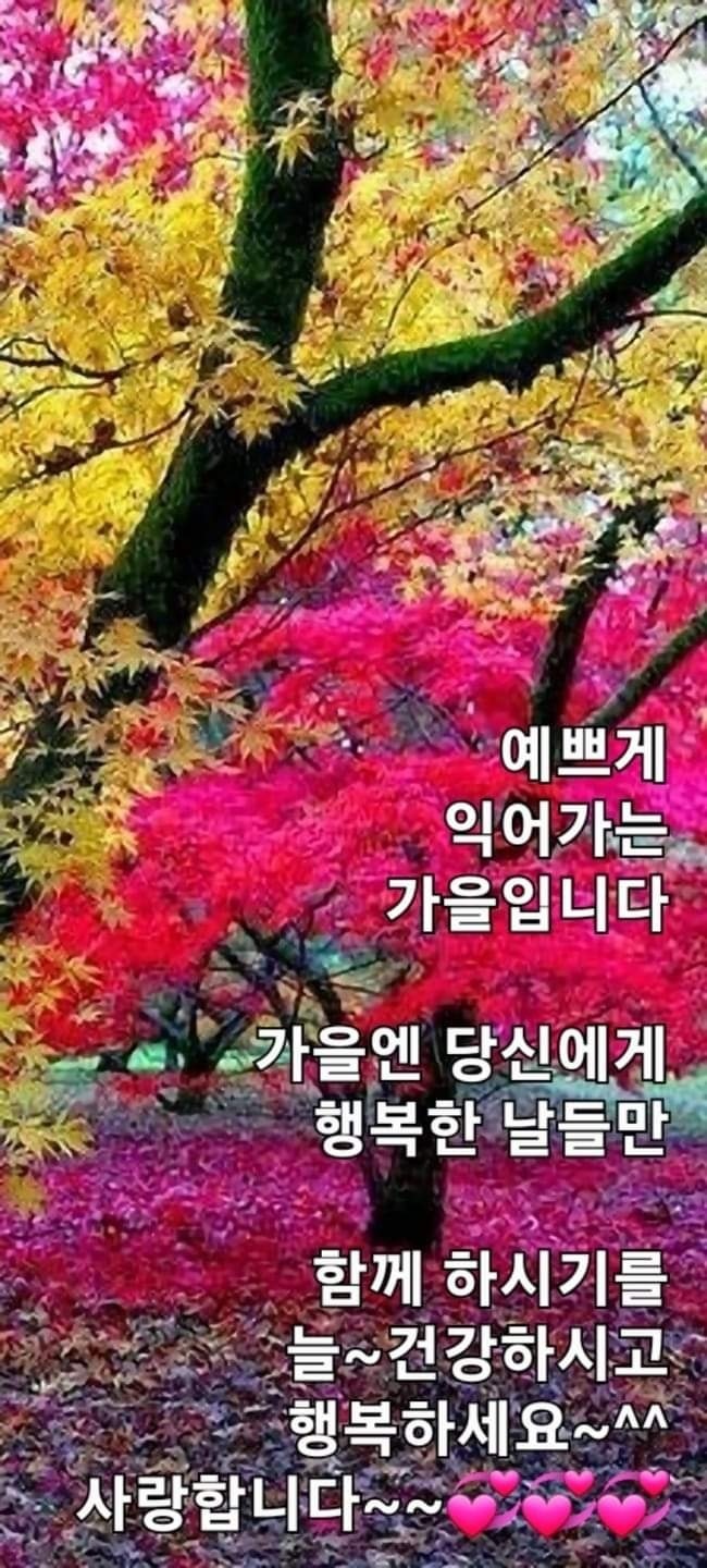 태인식품 이미지