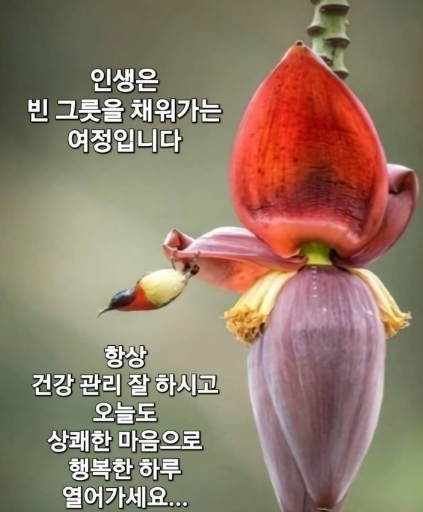 한백년 이미지