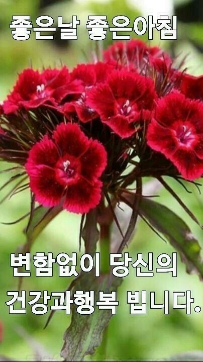 가위춤 이미지