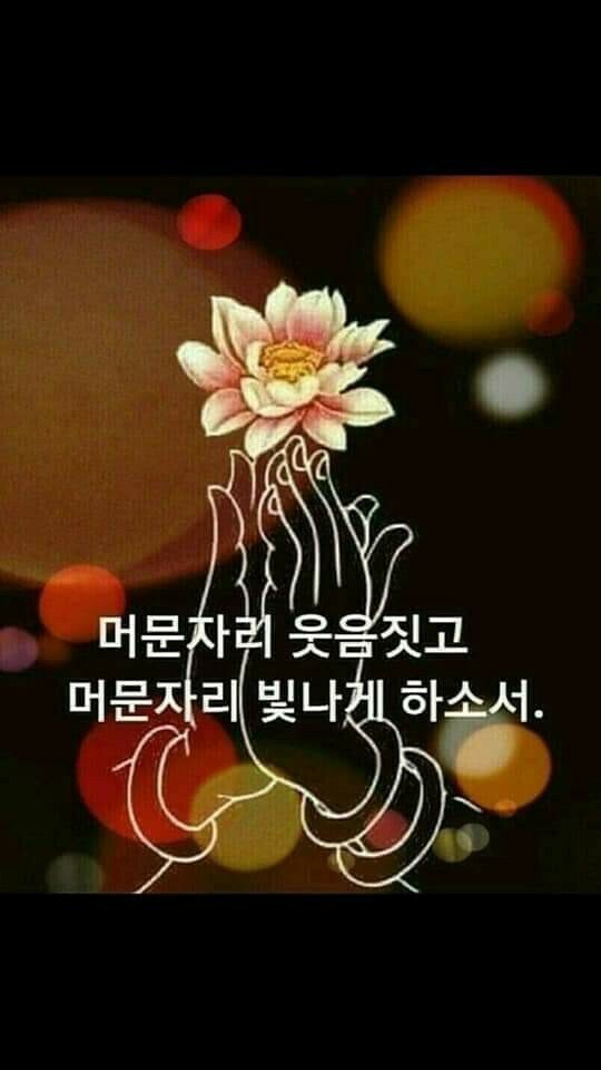 매일, 밥 이미지