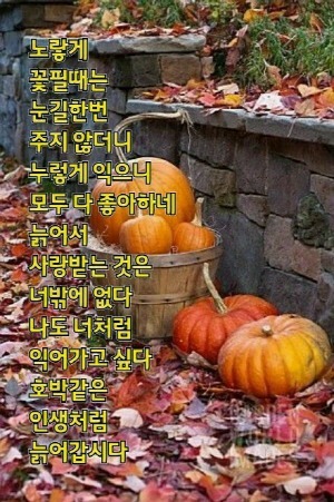 항아 이미지