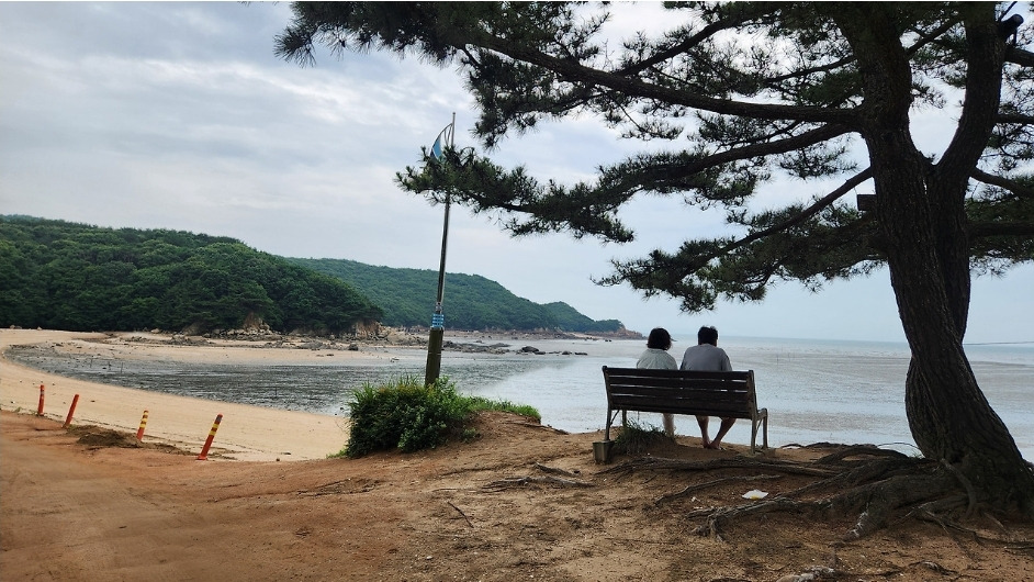 인천114 이미지