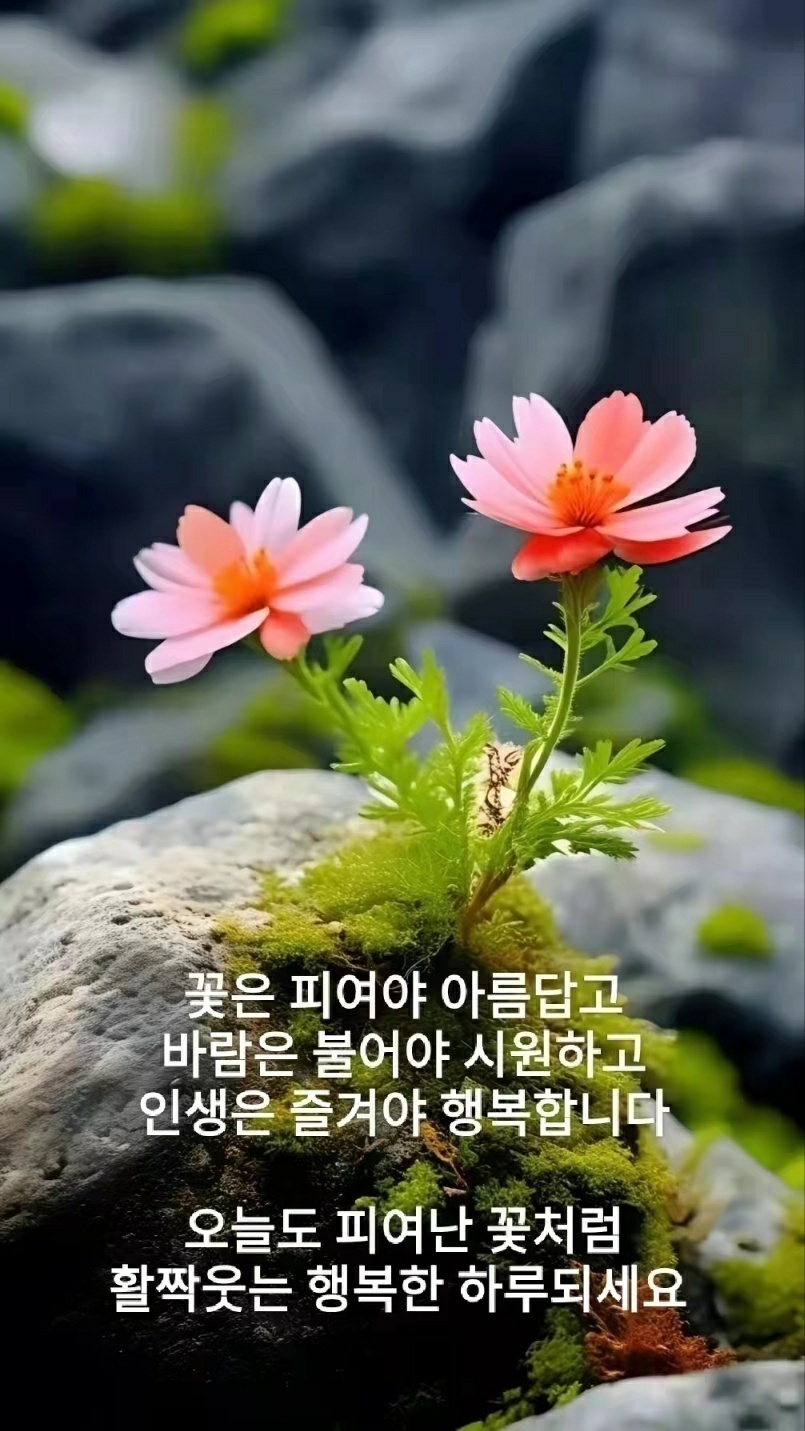 오늘도;예쁜 이미지