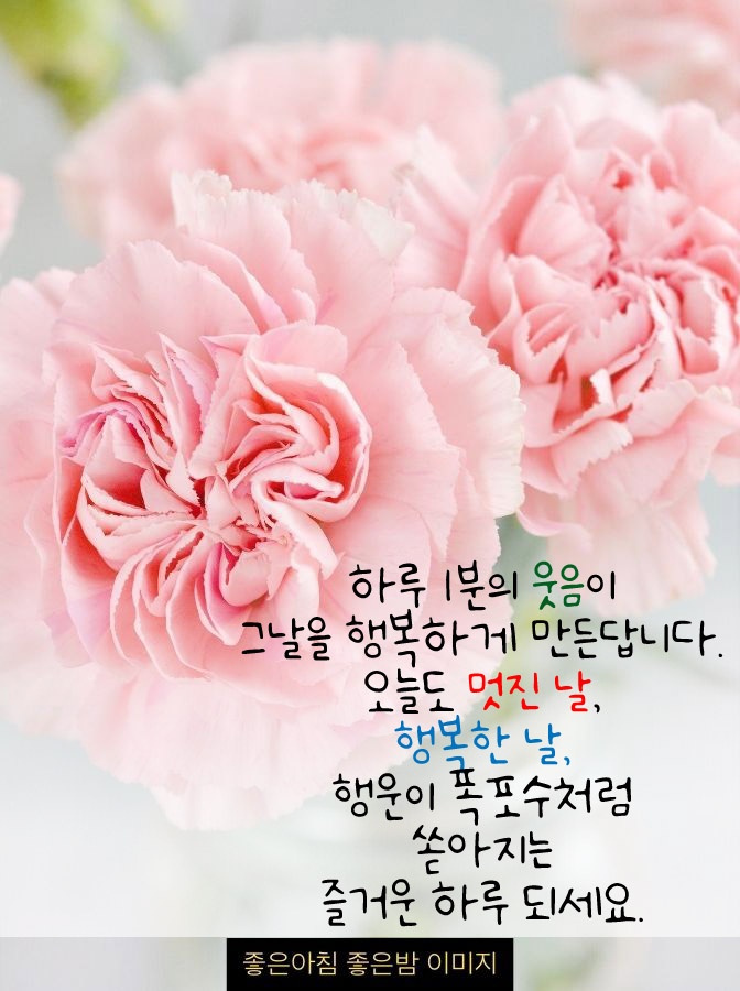 토요일 이미지