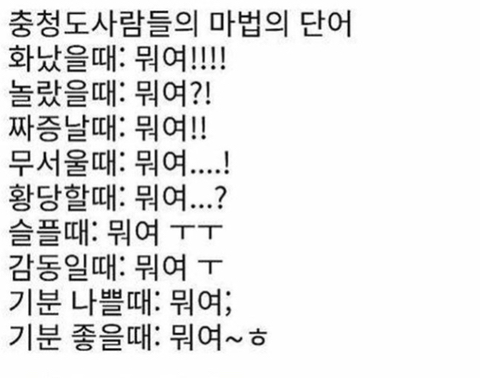 충청도 사람들의 마법의 단어 | 인스티즈