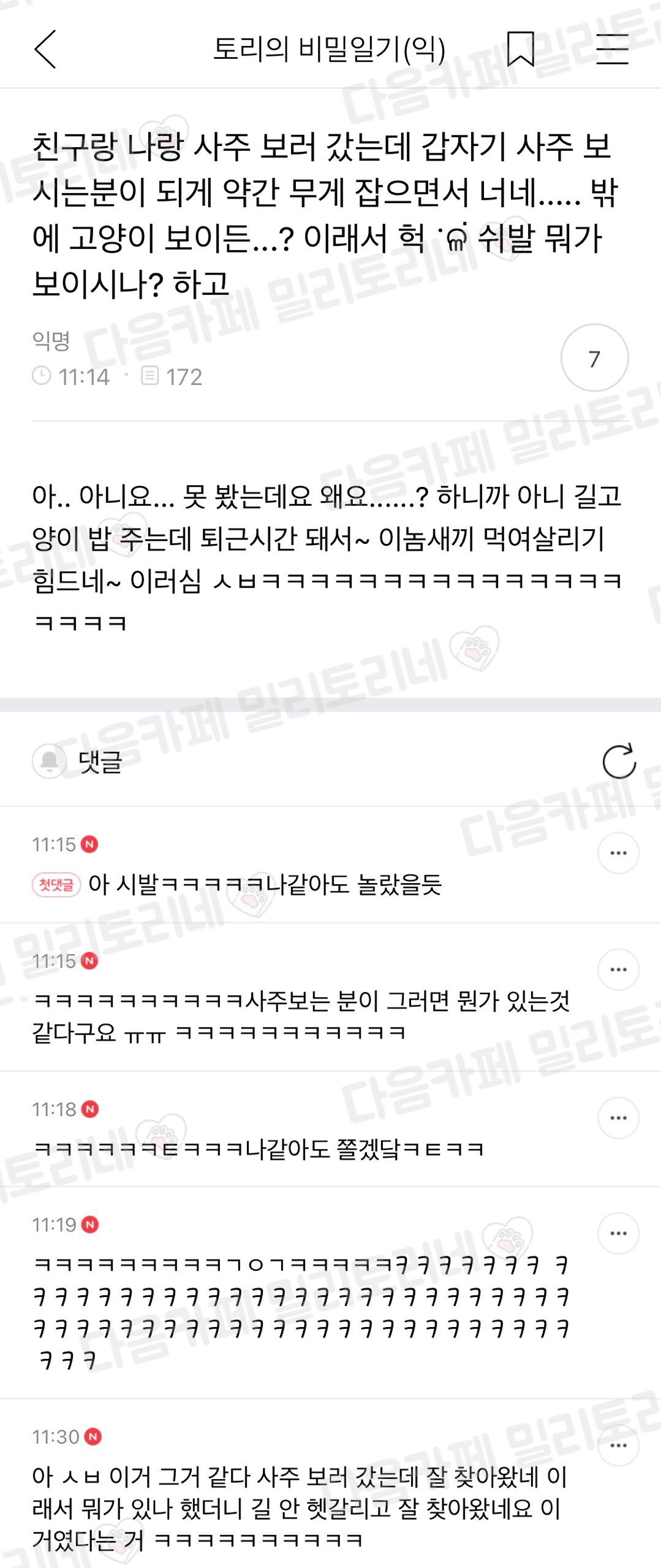 친구랑 나랑 사주 보러 갔는데 갑자기 사주 보시는 분이 되게 약간 무게 잡으면서 너네... 밖에 고양이 보이든..? 이래서 | 인스티즈