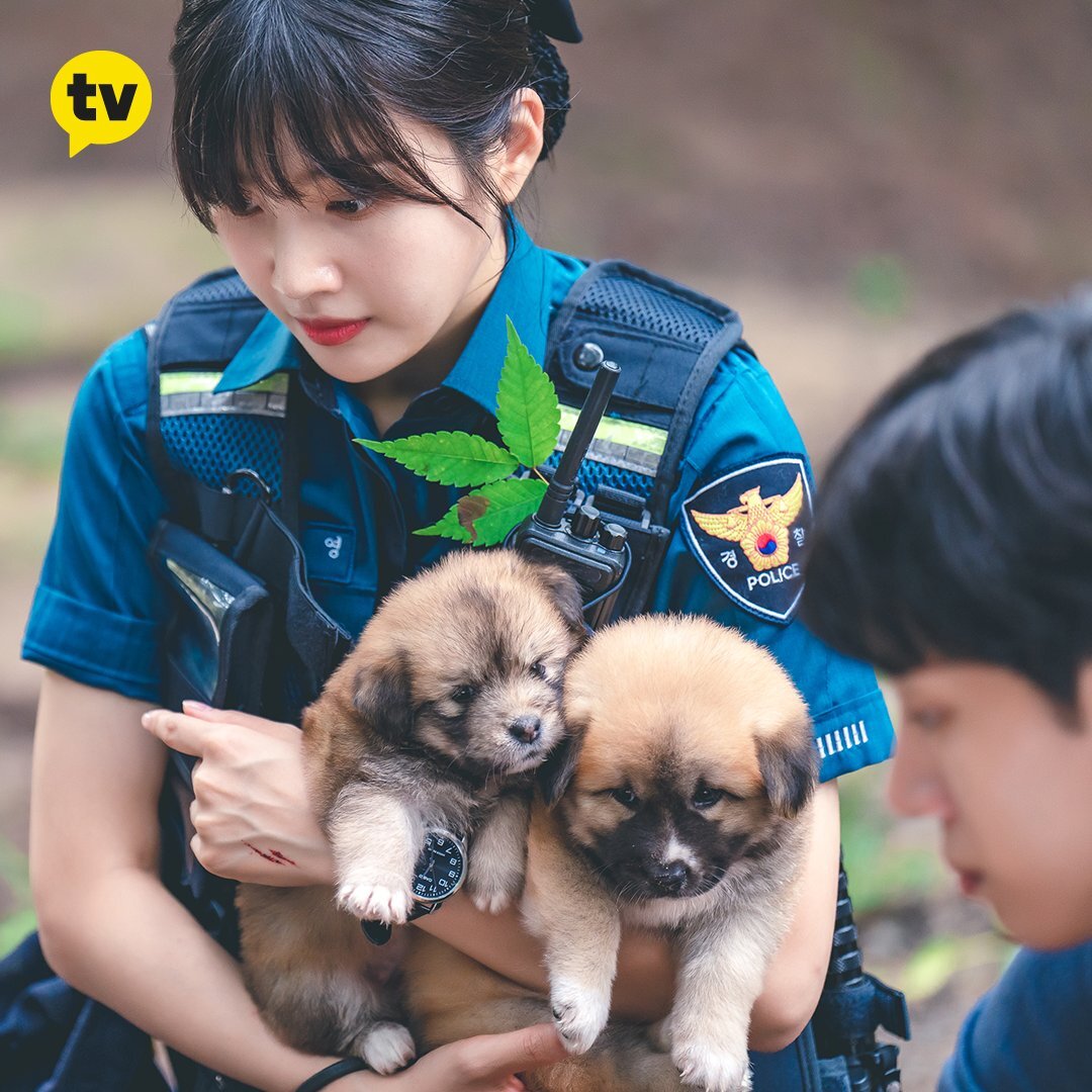 어바웃조이 이미지