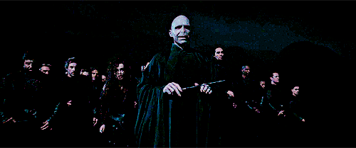 해리포터 팬들 사이에서 갈리는 유형 | 인스티즈