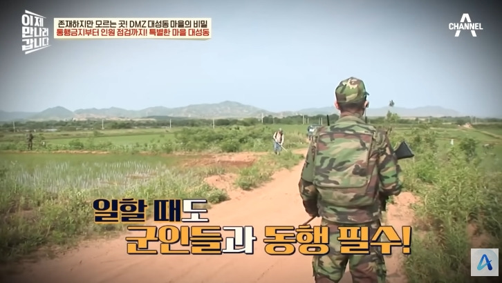 대성동 마을이 북한과 얼마나 가까운지 체감 | 인스티즈