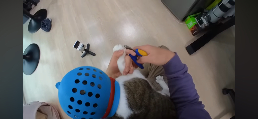 [hahaha] 도라에몽이 된 무(feat.무라에몽) | 인스티즈