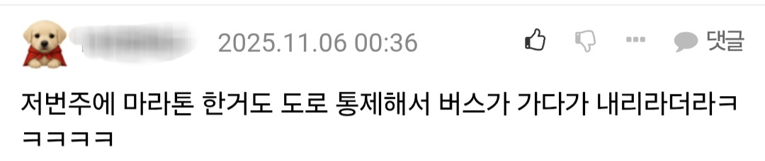 마라톤 사태 직접 겪은 사람들이 쓴 댓글.jpg | 인스티즈