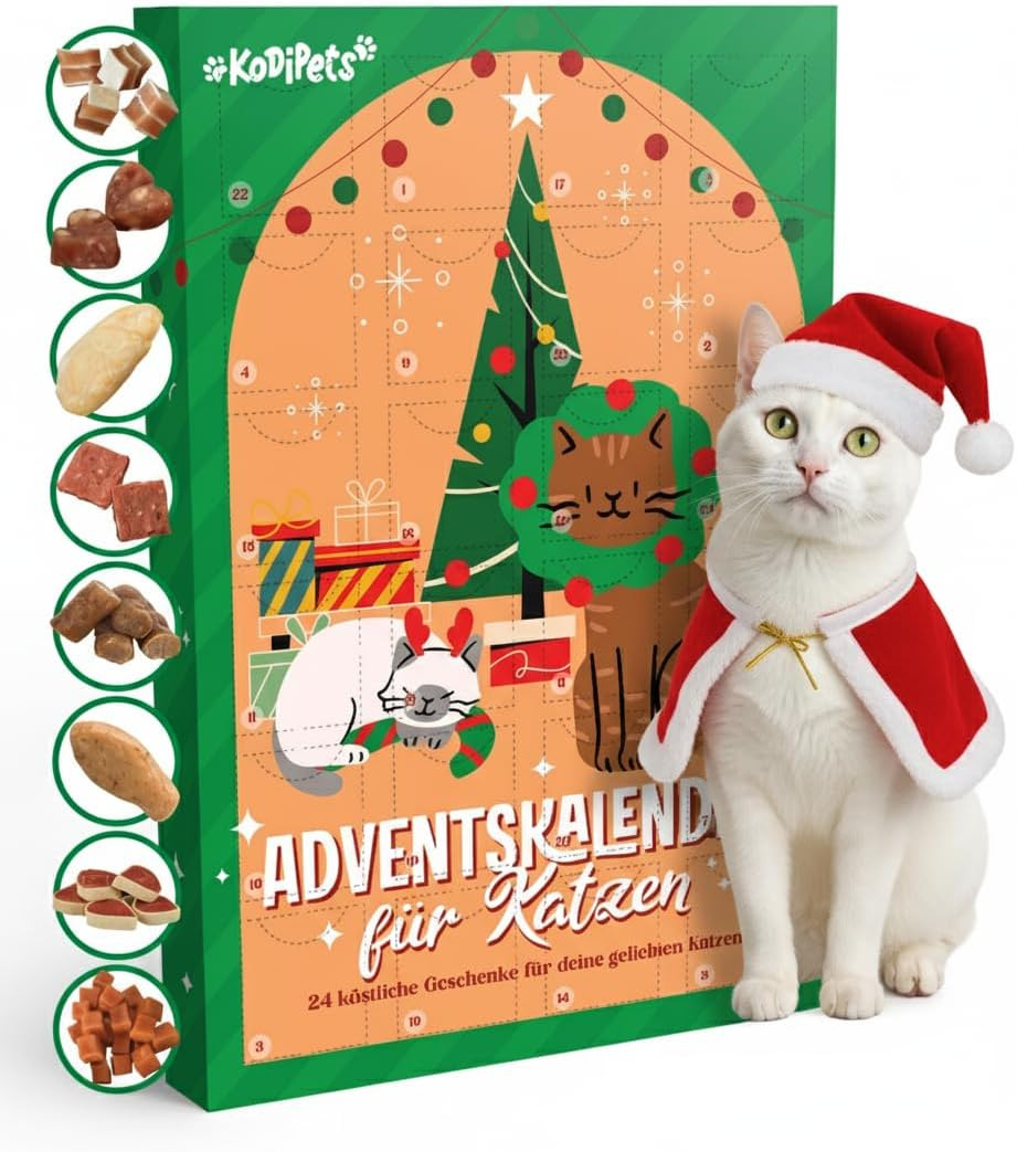 곧 크리스마스인데 설마 아직도 어드벤트 캘린더 안 산 눈아가 있념..?; | 인스티즈